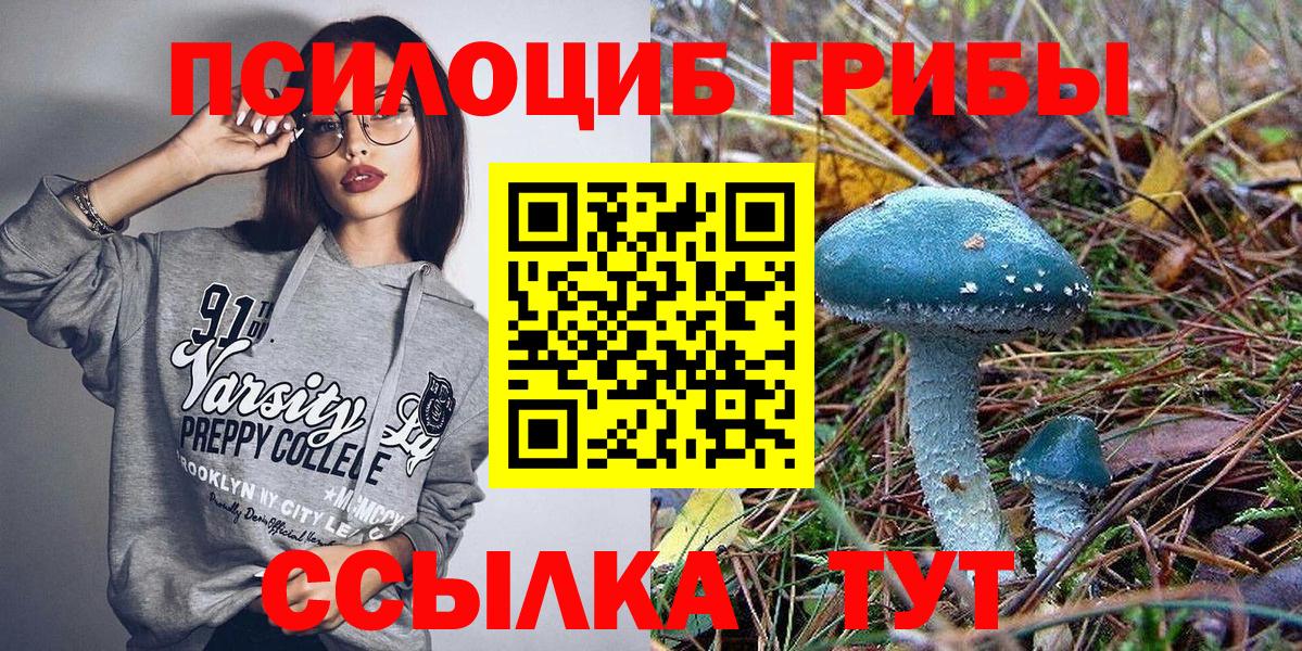 Псилоцибиновые грибы мухоморы Верхняя Салда