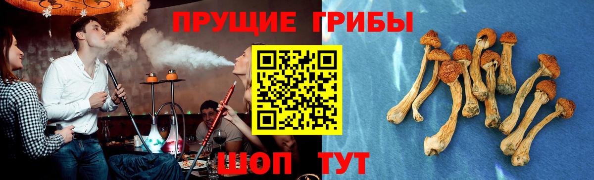 Галлюциногенные грибы мухоморы  Галлюциногенные грибы MAGIC MUSHROOMS  Верхняя Салда  Вход с VPN 